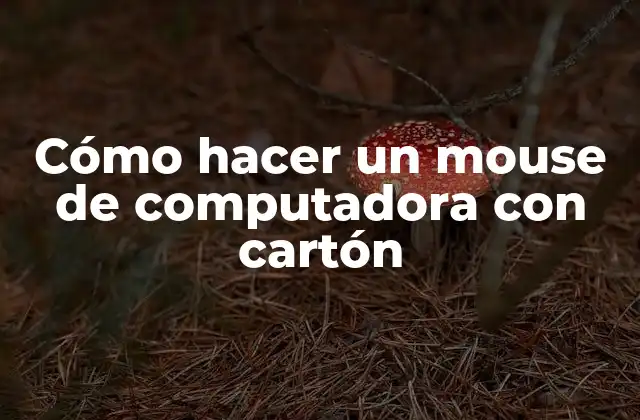 ¿Qué es un mouse de computadora con cartón?