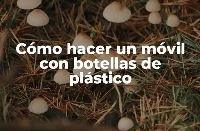Cómo Hacer un Móvil con Botellas de Plástico