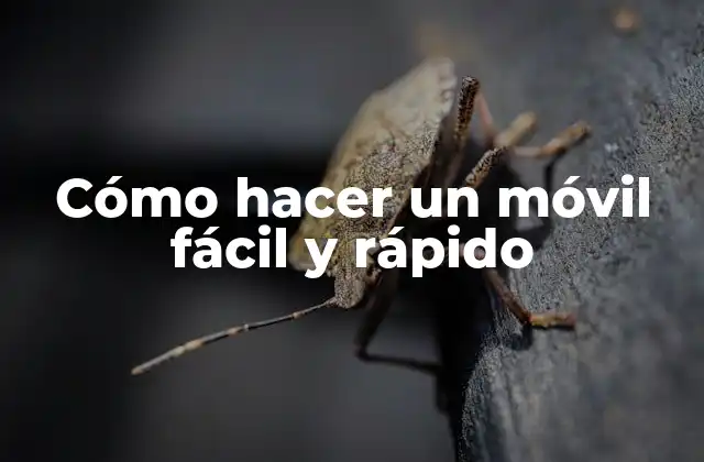 Cómo Hacer un Móvil Fácil y Rápido