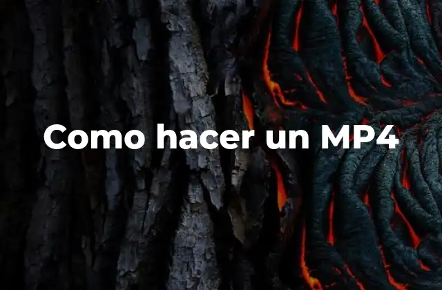 Como Hacer un Mp4