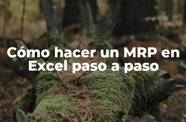¿Qué es un MRP y para qué sirve?