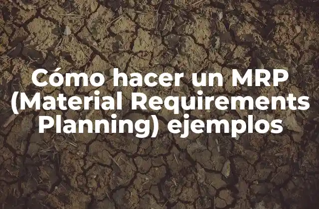 Cómo Hacer un Mrp (material Requirements Planning) Ejemplos