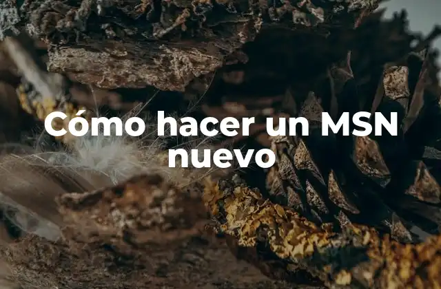 Cómo Hacer un Msn Nuevo