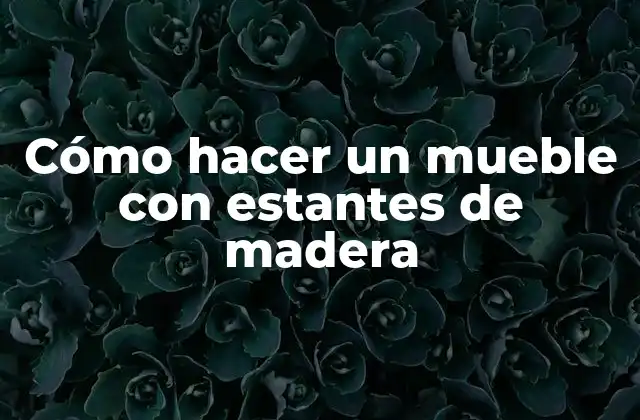 Cómo Hacer un Mueble con Estantes de Madera