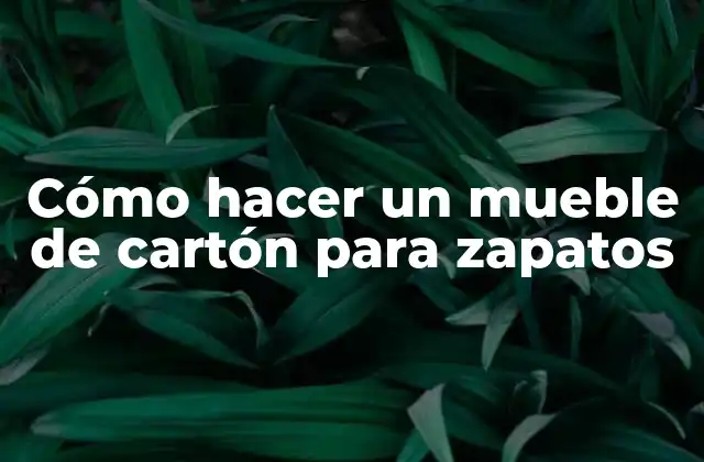 Cómo Hacer un Mueble de Cartón para Zapatos