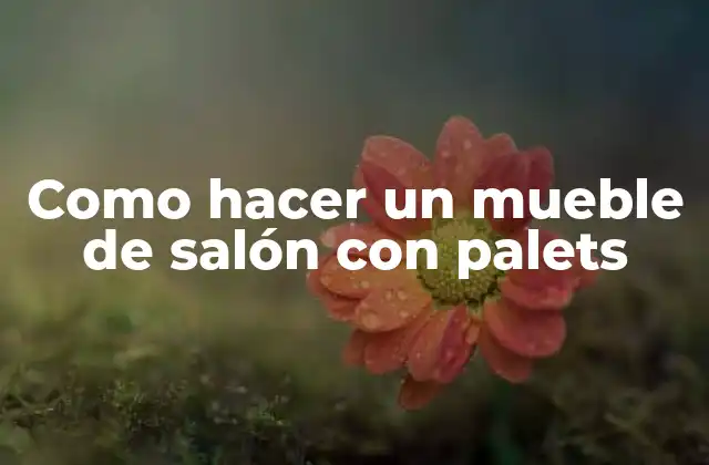Como Hacer un Mueble de Salón con Palets