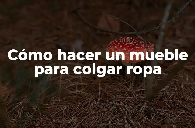 Cómo Hacer un Mueble para Colgar Ropa