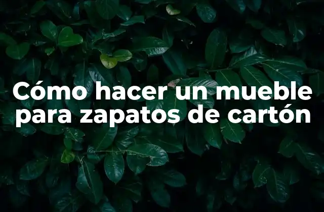 Cómo Hacer un Mueble para Zapatos de Cartón