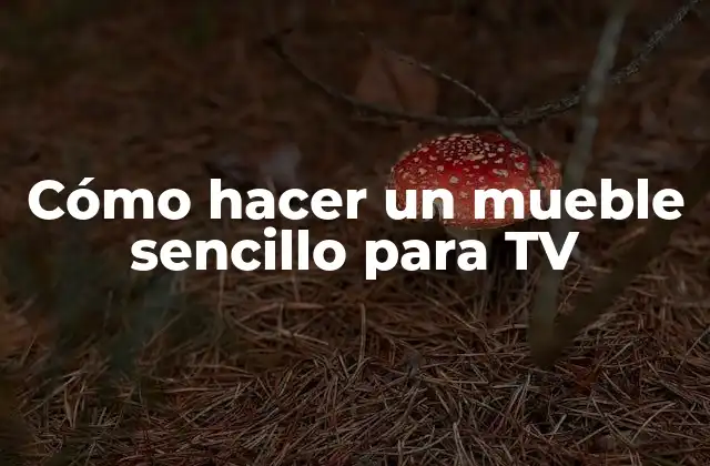 Cómo Hacer un Mueble Sencillo para Tv