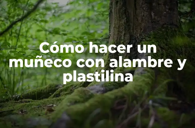 Cómo Hacer un Muñeco con Alambre y Plastilina