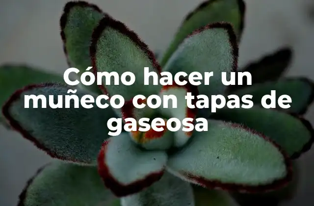 Cómo Hacer un Muñeco con Tapas de Gaseosa