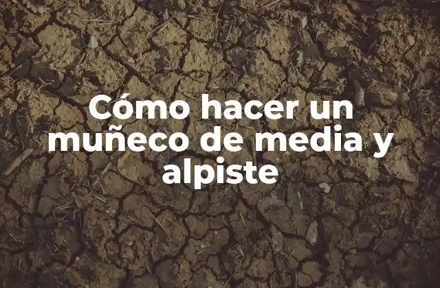 Cómo Hacer un Muñeco de Media y Alpiste