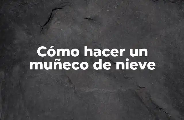 ¿Qué es un muñeco de nieve y para qué sirve?