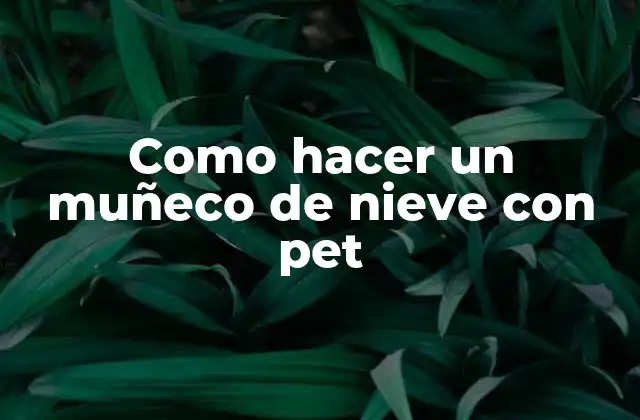 Como Hacer un Muñeco de Nieve con Pet