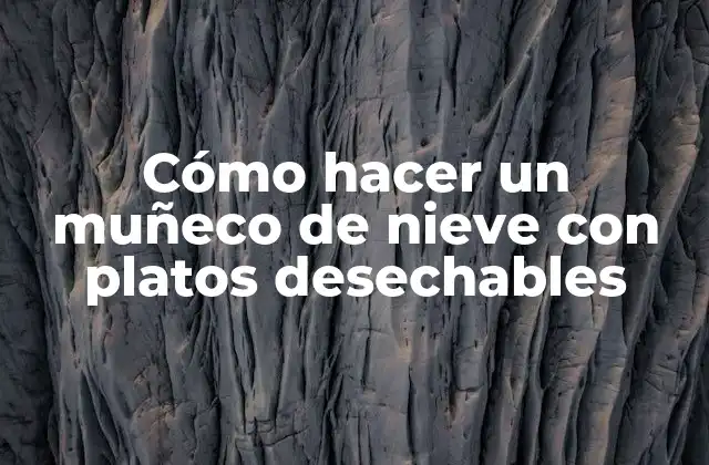 Cómo Hacer un Muñeco de Nieve con Platos Desechables