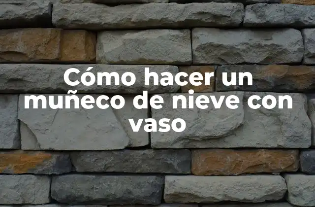 Cómo Hacer un Muñeco de Nieve con Vaso