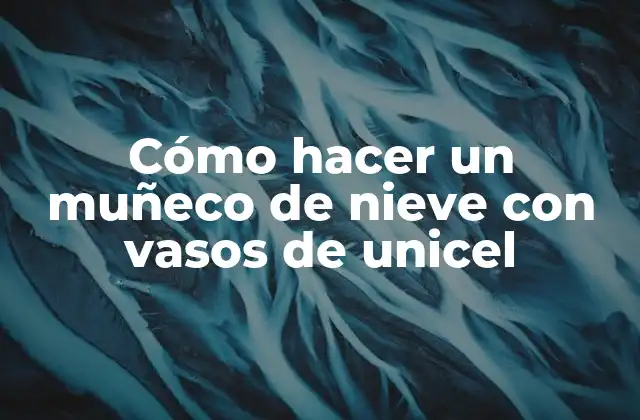 Cómo Hacer un Muñeco de Nieve con Vasos de Unicel
