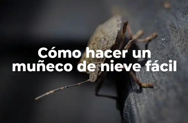 Cómo Hacer un Muñeco de Nieve Fácil