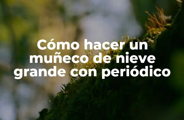 Cómo Hacer un Muñeco de Nieve Grande con Periódico