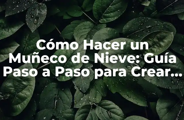 Cómo Hacer un Muñeco de Nieve: Guía Paso a Paso para Crear un Muñeco de Nieve Perfecto