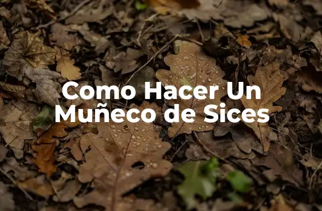 Como Hacer un Muñeco de Sices