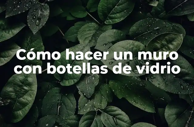 Cómo Hacer un Muro con Botellas de Vidrio