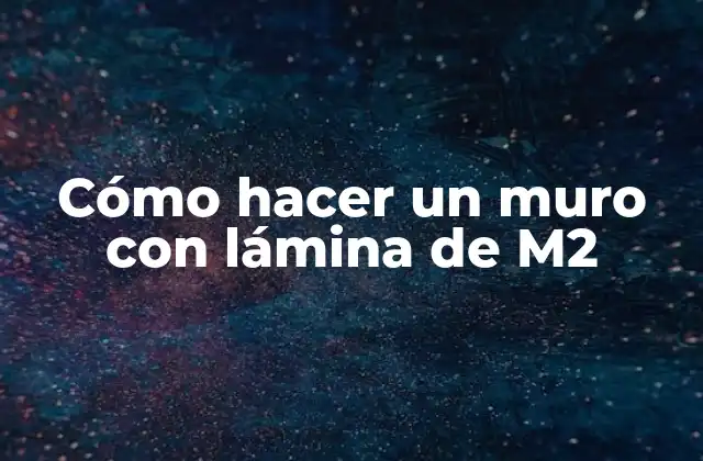 Cómo Hacer un Muro con Lámina de M2