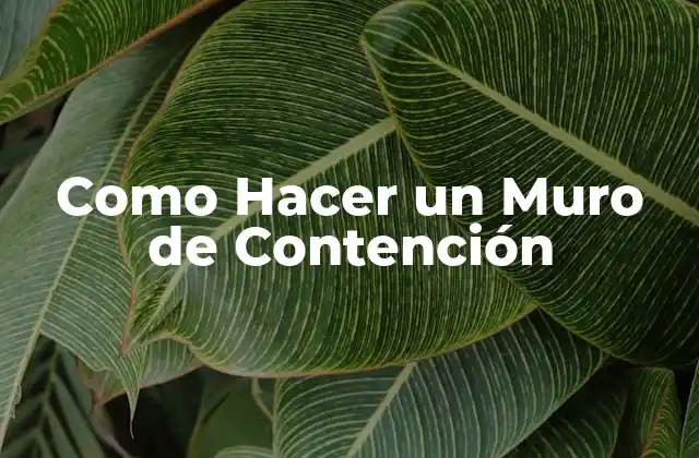 Como Hacer un Muro de Contención