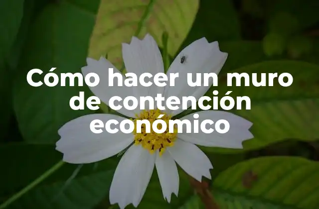 Cómo Hacer un Muro de Contención Económico