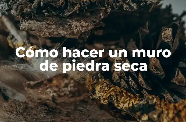 Cómo Hacer un Muro de Piedra Seca