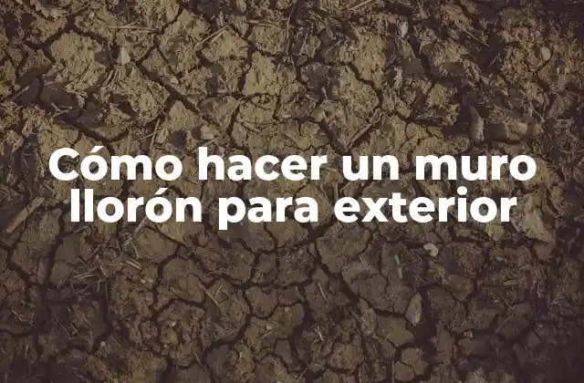 Cómo Hacer un Muro Llorón para Exterior