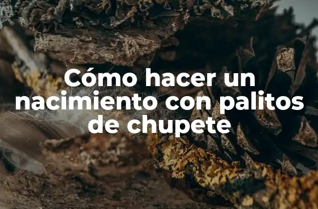Cómo Hacer un Nacimiento con Palitos de Chupete