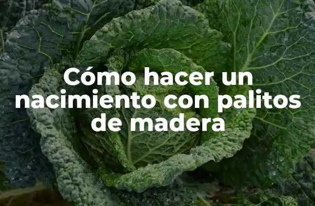 Cómo Hacer un Nacimiento con Palitos de Madera