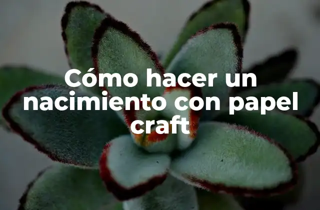 Cómo Hacer un Nacimiento con Papel Craft
