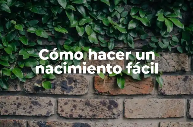 Cómo Hacer un Nacimiento Fácil