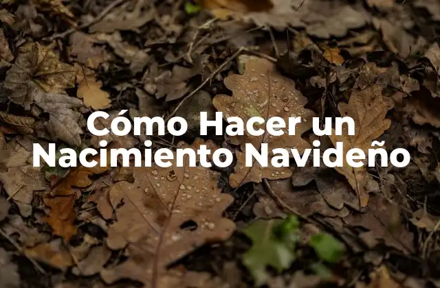 Cómo Hacer un Nacimiento Navideño