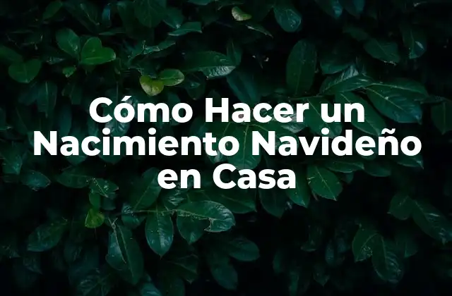 Cómo Hacer un Nacimiento Navideño en Casa