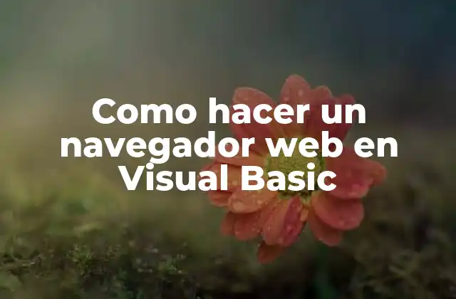 Como Hacer un Navegador Web en Visual Basic