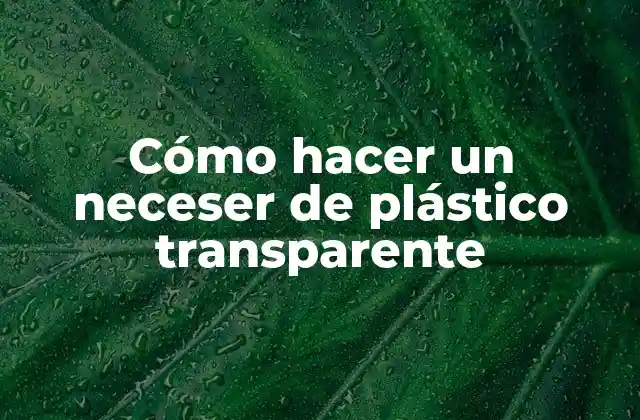 Cómo Hacer un Neceser de Plástico Transparente