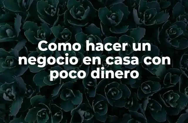 Como Hacer un Negocio en Casa con Poco Dinero