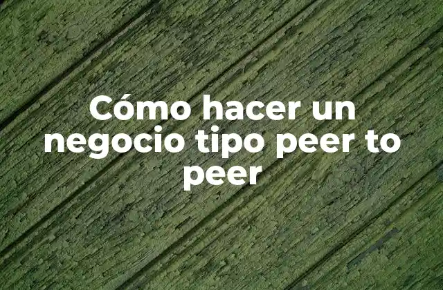 Cómo Hacer un Negocio Tipo Peer To Peer