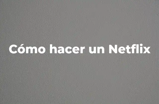 Cómo Hacer un Netflix