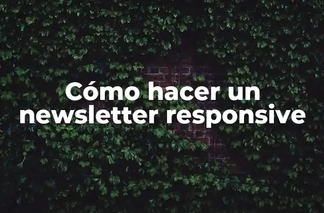 Cómo Hacer un Newsletter Responsive
