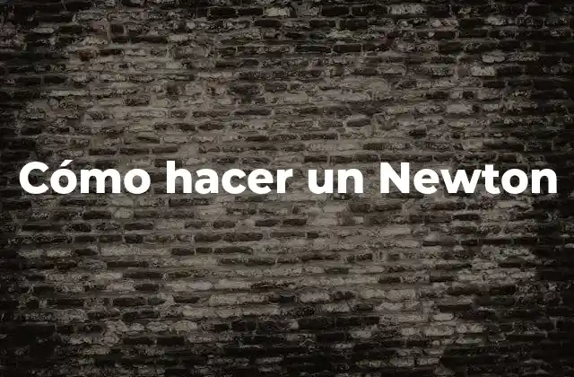 Cómo Hacer un Newton 2 ¿Qué es un Newton?