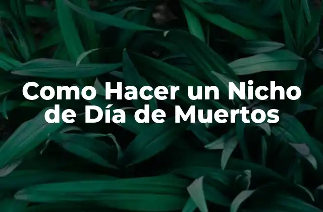 Como Hacer un Nicho de Día de Muertos