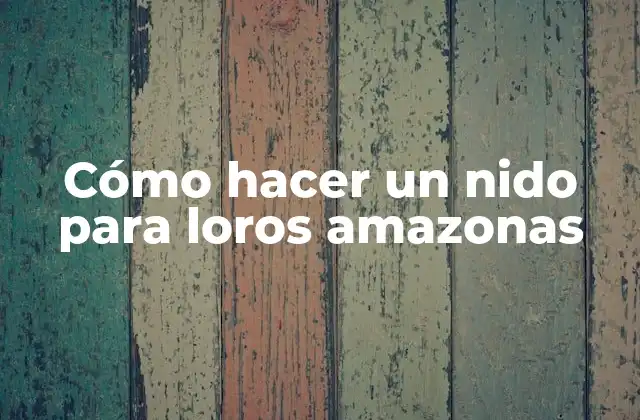 Cómo Hacer un Nido para Loros Amazonas 2 Cómo hacer un nido para loros amazonas