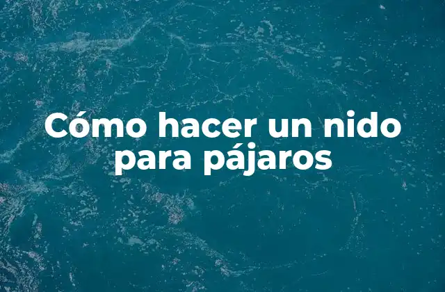 Cómo Hacer un Nido para Pájaros