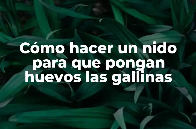 Cómo Hacer un Nido para que Pongan Huevos las Gallinas