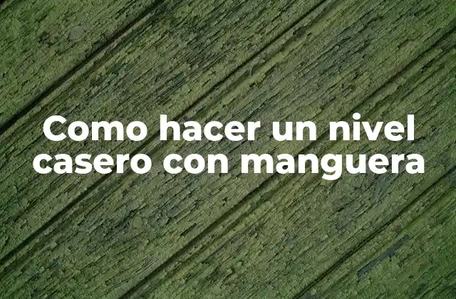 Como Hacer un Nivel Casero con Manguera