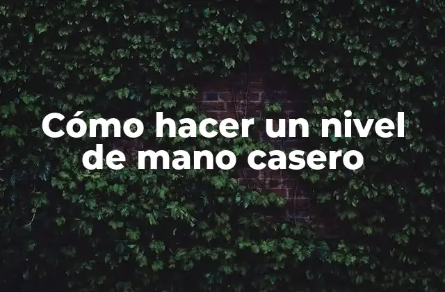 Cómo Hacer un Nivel de Mano Casero